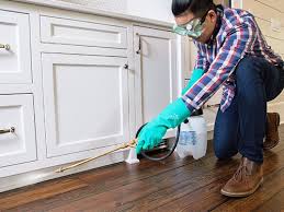 Real Estate Pest Inspections